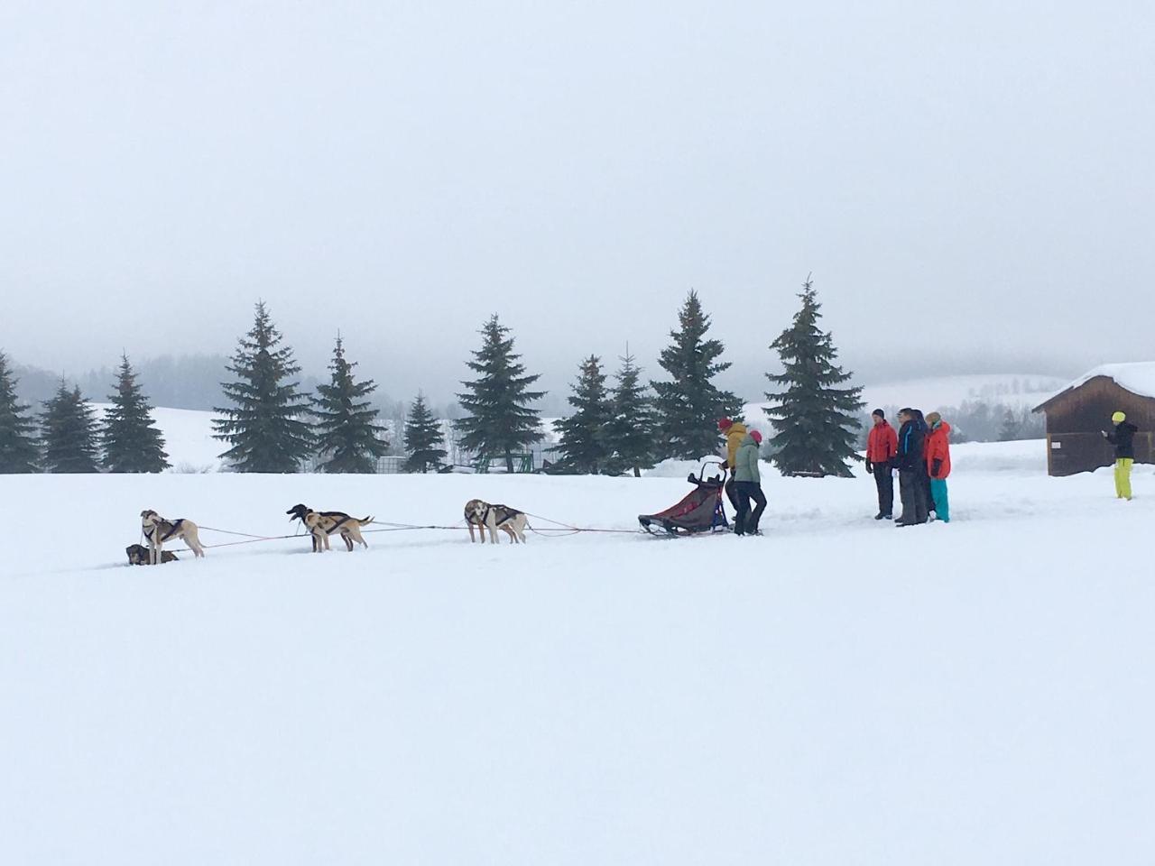 Grund Resort Golf And Ski ملاده بوكي المظهر الخارجي الصورة